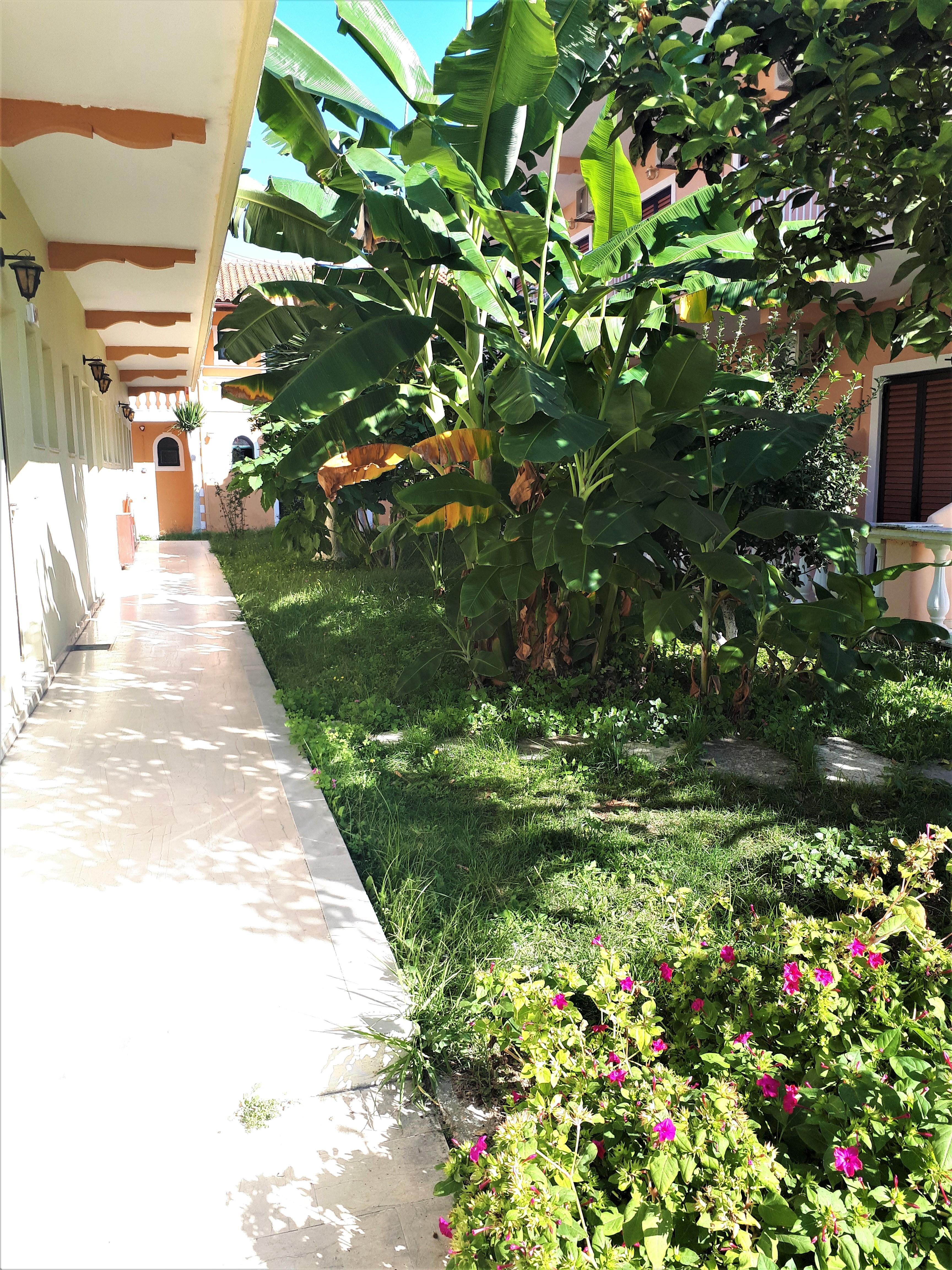 Sophie Studios Roda (Corfu) Exterior foto